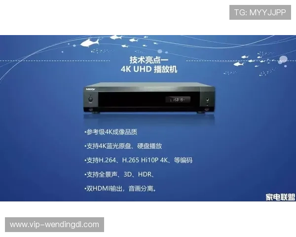 问鼎国际下载入口安全稳定，快速体验国际顶级网络游戏的极致乐趣