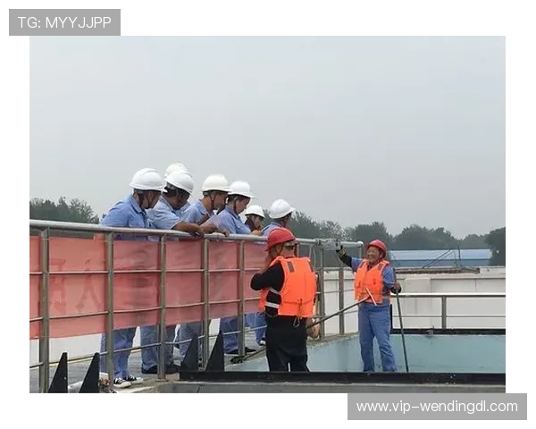 问鼎集团网址安全性分析及访问建议，保障用户信息安全的重要指南